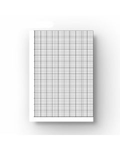 20/10 mm Graph Paper - A4 Loose Leaf 100 Sheets